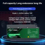 Lithium Ion Battery Pack Manufacturer - EV 48V-72V Lifepo4 50Ah-300Ah Deep Cycle for Golf Cart