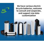 Battery Pack Manufacturer - Rechargeable 48V LiFePo4 36V-60V 10Ah-20Ah for Electric Bicycle