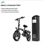 Lithium Ion Battery Packs Manufacturer - 36V-60V 10Ah-20Ah Rechargeable LiFePo4 for Electric Bicycle