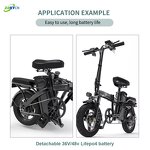 Lithium Ion Battery Packs Manufacturer - 36V-60V 10Ah-20Ah Rechargeable LiFePo4 for Electric Bicycle
