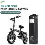Battery Pack Manufacturer - Rechargeable 48V LiFePo4 36V-60V 10Ah-20Ah for Electric Bicycle