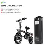 Battery Pack Manufacturer - Wholesale 48V-60V 10Ah-20Ah LiFePo4 for Electric Bicycle