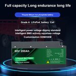 Lithium Ion Phosphate Battery Pack Manufacturer - Waterproof 60V 55Ah-330Ah Deep Cycle Bluetooth OEM