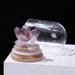 Natural Citrine Amethyst Cluster Bottled Crafts - Raw Stone Crystal Mineral Glass Display