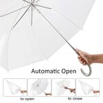 Umbrella Manufacturer - Luxury Promotional PVC POE Automatic Windproof Rain Gift Custom Straight