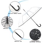 Folding Umbrella Manufacturer - Small Daisy Clear for Women Girls Paraguas Mujer Travel Flower Transparent