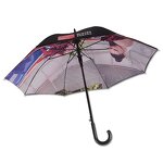 Stick Umbrella Manufacturer - 23Inch UK Walking Style Double Layer Inside Customized Picture Printing