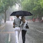 Automatic Umbrella Manufacturer - Wholesale Promotional 3 Folding UV for Rain Windproof Sun Parasol Custom