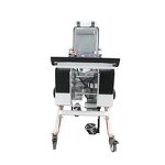 Rehabilitation Equipment - Spinal Cord Injury Recovery Paraplegia Stroke Hemiparesis Robot Walking Assist Aid Gait Trainer