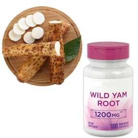 Wild Yam Capsules Factory - Factory Price Health Supplement Nutrition