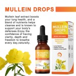 Mullein Leaf Drops Manufacturer - OEM Respiratory Function Alcohol-free Syrup