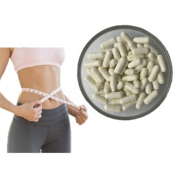 Bitter Melon Capsules Manufacturer - OEM ODM Food Grade Bitter Gourd Extract