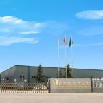 Rose Puer Tea Factory - Chinese Famous Beauty Rose Scented Tea Combination