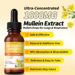 Mullein Leaf Drops Manufacturer - OEM Respiratory Function Alcohol-free Syrup