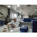 Nettle Leaf Drops Factory - Private Label Immune System Joint Health Support