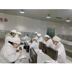 土耳其斯坦酮胶囊生产商-贴牌草本男性保健