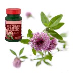 红三叶草胶囊生产商-厂家供应植物补充剂花朵