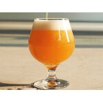 Drinking Glass Manufacturer - Custom Personalized Juice Wine Clear Unique Tulip Beer for Bar Party