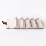 Glasses Case Manufacturer - PU Portable Storage Cases Glasses Folding Eyewear Boxes Custom Logo Fashion 5 Grids Case Sunglasses Display Box