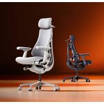 Ergonomic Chair Manufacturer - 2025 Original LiberNovo Omni Dynamic Home & Office with Adjustable Lumbar Adaptive Support