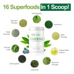 超级绿粉生产商-批发贴牌有机绿色混合素食