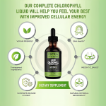 Chlorophyll Liquid Manufacturer - Natural Botanical Mint Mulberry Leaf Immune Detox