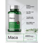 Maca Extract Capsules Manufacturer - OEM Male Energy Support Black Root
