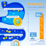 Probiotic Powder Manufacturer - OEM/ODM Private Label Vegan Digestive Gut Health