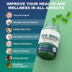 Elder Berry Gummies Factory - Natural Vegan Sea Moss Extracts Skin Health Immunity