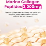 Marine Collagen Liquid Manufacturer - ODM Low Molecular Elasticity Moisturize Improve