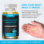 Glucosamine Softgels Factory - OEM/ODM Supplement 120 Healthcare MSM Chondroitin
