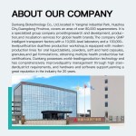 Omega 3 Softgel Factory - OEM ODM Custom Machining EPA DHA Heart Brain