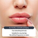 Lip Balm Manufacturer - Factory Price OEM Custom Logo Grass-Fed Beef Tallow Moisturizing Brightening Waterproof 5g