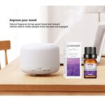 Air Humidifier Essential Oils Manufacturer - Hotel Scent Natural Purify Air Relieve Stress Eucalyptus Rose for Diffuser