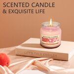 Aromatherapy Candle Manufacturer - Smokeless with Lid Glass Soy Wax - Holiday Gift Sets