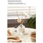 Aromatherapy Essential Oils Set Manufacturer - 6 Set Private Label Gift 10ml Lavender Oil for Relaxation and Calming