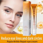 Anti-Wrinkle Eye Cream Manufacturer - Private Brand Hydrating Moisturizing Dark Circle Reducing Eye Bags Improving