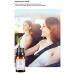 Aromatherapy Essential Oils Set Manufacturer - 6 Set Private Label Gift 10ml Lavender Oil for Relaxation and Calming