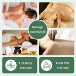 Aromatherapy Essential Oil Manufacturer - Single Rose Lavender Jasmine Plant Extract Water-soluble for SPA Massage