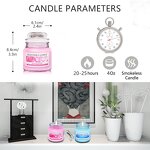 Aromatherapy Candle Manufacturer - Smokeless with Lid Glass Soy Wax - Holiday Gift Sets