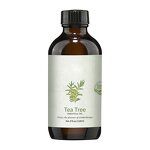 Aromatherapy Essential Oil Manufacturer - Single Rose Lavender Jasmine Plant Extract Water-soluble for SPA Massage