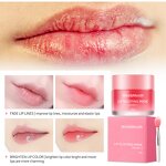 Lip Mask Manufacturer - Night Repair Jelly Hydrating Moisturizing Lip Balm