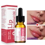 Lip Essential Oil Manufacturer - Private Label Best Lip Enhancer Plumper Gloss Wholesale