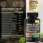 Shilajit Capsule Manufacturer - Himalayan Resin Extract with Ashwagandha & Ginseng