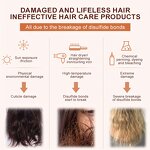 Hair Cream Manufacturer - Organic Repair Disulfide Bond Reduction Concentrated for Anti-Breakage Split Ends Damaged