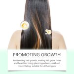 Scalp Care Serum Manufacturer - Private Label 100% Natural Organic Herbal Nourishing Hair Treatment Growth Rosemary Castor Oil