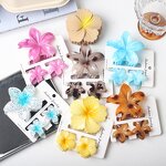 Hair Accessories Set Manufacturer - Elegant Shark Clip Egg Flower Back Head