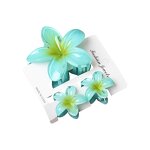 Hair Accessories Set Manufacturer - Elegant Shark Clip Egg Flower Back Head