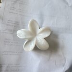 Hair Clip Manufacturer - Exquisite Gradient Marble Egg Flower Pastoral Style
