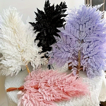 Dried Flowers Manufacturer - Alpine Fern Leaves Eternal Wedding Arrangement